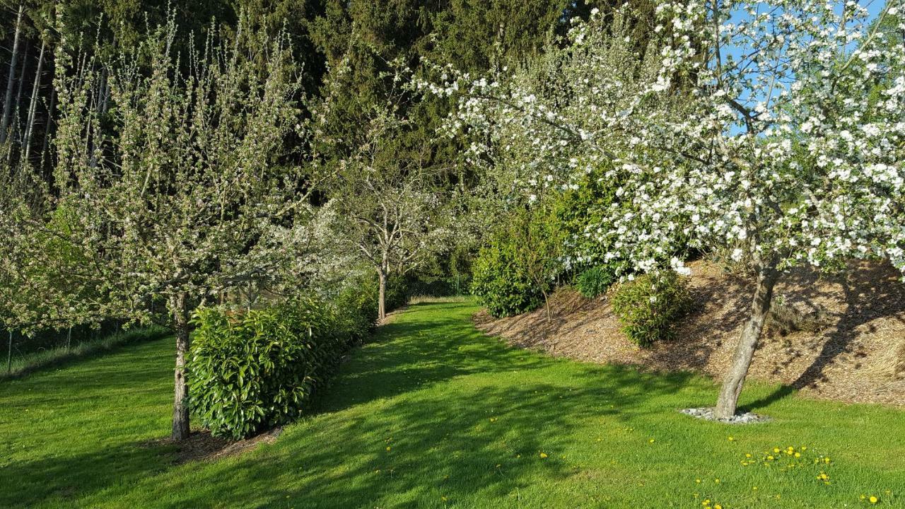 Ferienwohnung Am Waldrand Herdwangen-Schönach Esterno foto